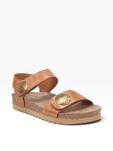 Brown sandal with gold accents on a beige background