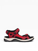 Red and black sandal on a white background