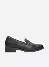 Black shoe on a white background