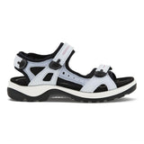 Blue sandal with black and blue straps on a white background