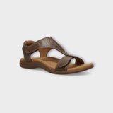 Taos The Show Sandal in mocha color, stylish open-toe sandal with cushioned footbed and adjustable straps for comfort.