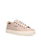 Beige sneaker on a white background