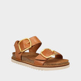 Brown sandal with gold buckles on a white background