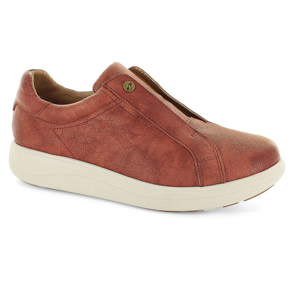 Ecco cosmic store
