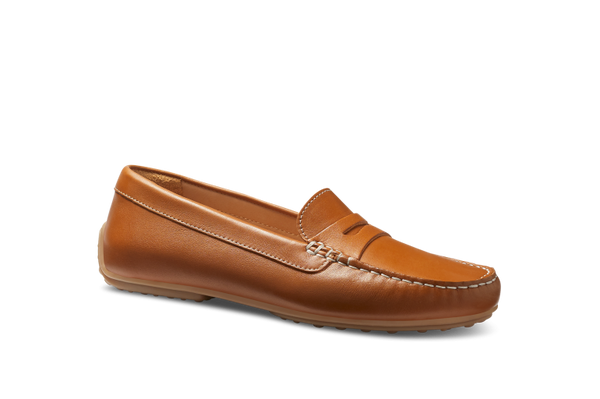 Samuel 2025 hubbard camplight